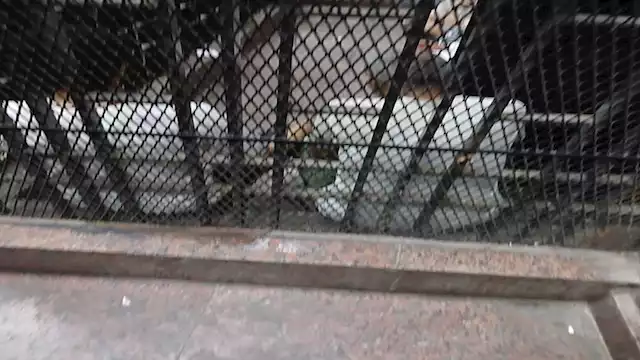 2024 11 14 22 16 4 952