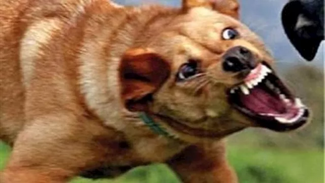 2025 10 19 22 29 59 729