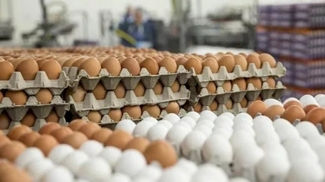 2025 11 21 10 26 39 173 2