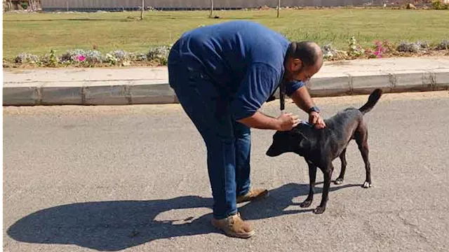 2025 12 14 15 23 38 916