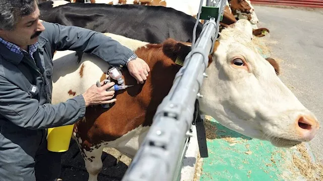 2025 12 22 13 53 22 766