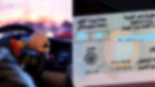 2025 12 8 19 4 10 870