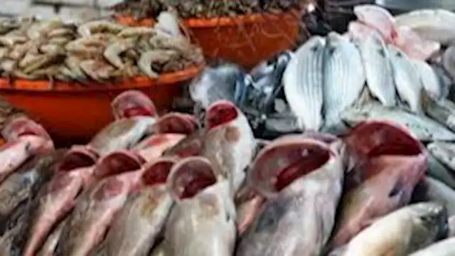 2025 1 4 10 28 43 926