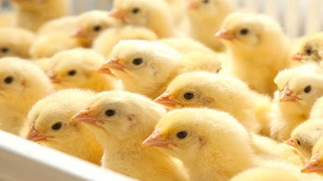 2025 2 23 16 45 46 443 1