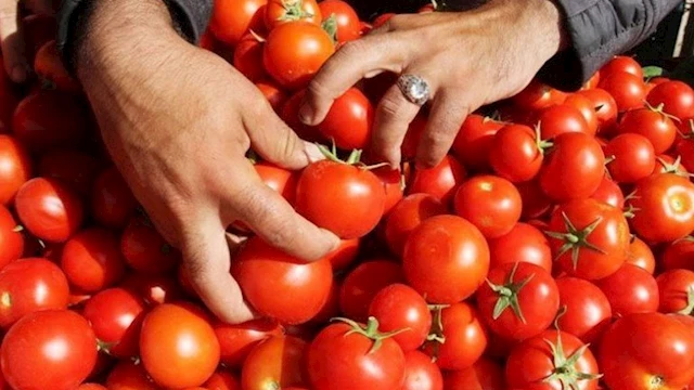 2025 5 19 15 8 39 329