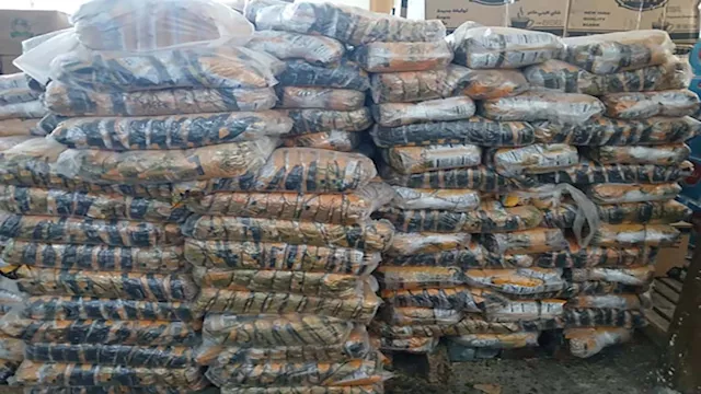 2025 6 23 13 29 46 676