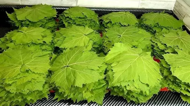 2025 7 22 13 34 35 234