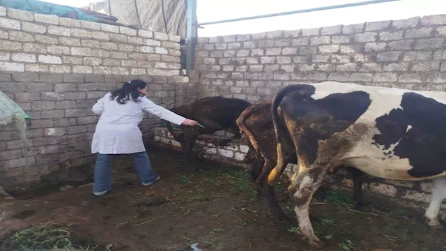 2026 1 12 11 19 19 77