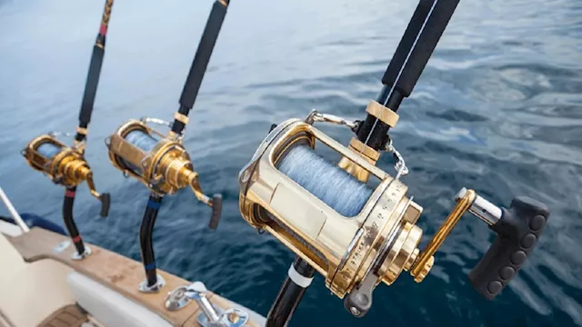 2026 1 22 19 29 51 487