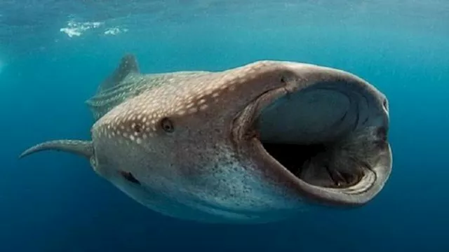 2026 1 25 21 17 57 993