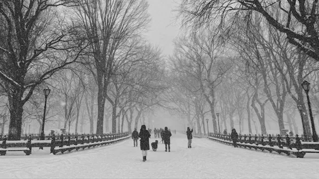 2026 1 27 10 14 54 10