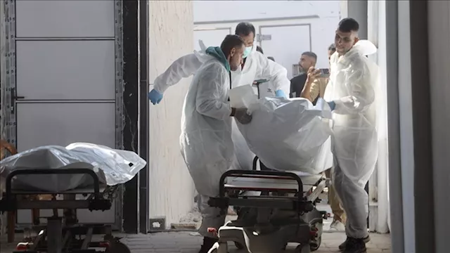 2026 1 29 21 0 18 475