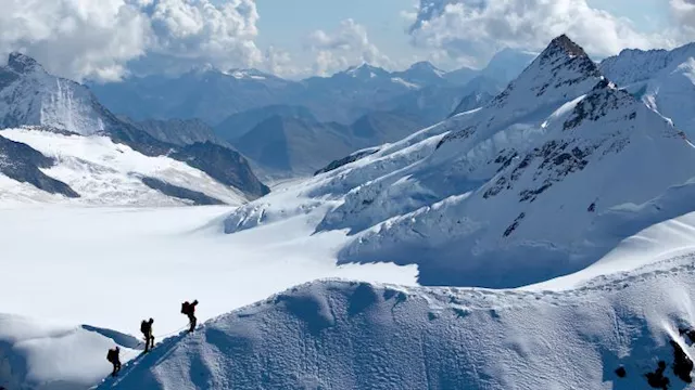 2026 1 2 20 11 24 196