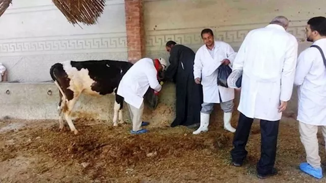 2026 1 30 17 11 7 613