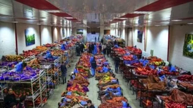 2026 1 31 20 32 24 274