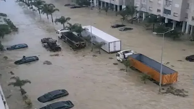 2026 1 31 23 9 47 252