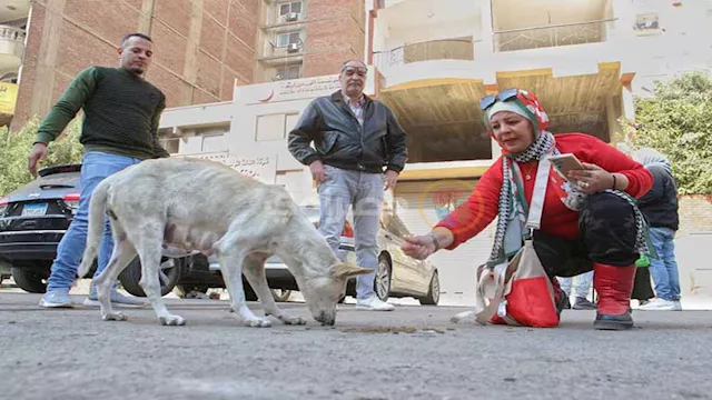 2026 1 5 21 3 43 490