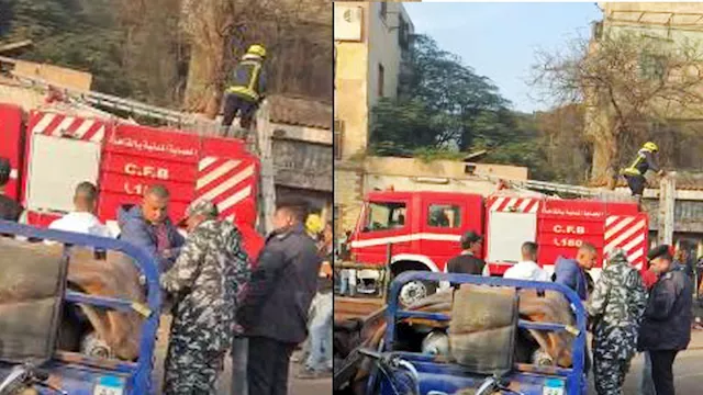 2026 1 6 16 14 15 258