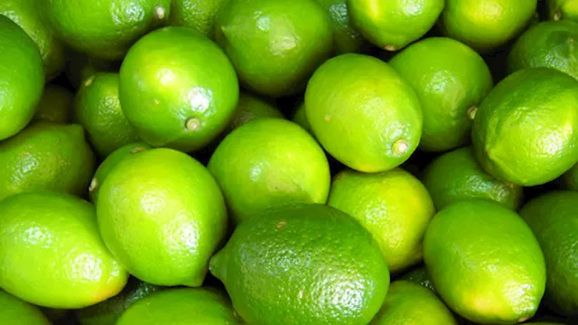 2026 1 9 11 22 24 668