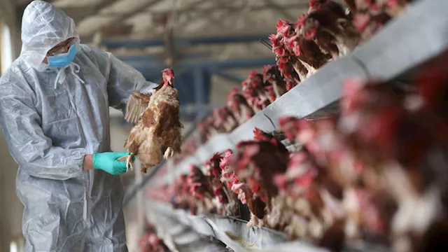 2026 1 9 13 41 58 975