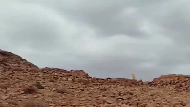 2026 1 9 13 51 11 39 2