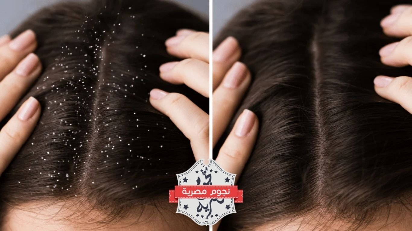 image 1767406176 9fZS