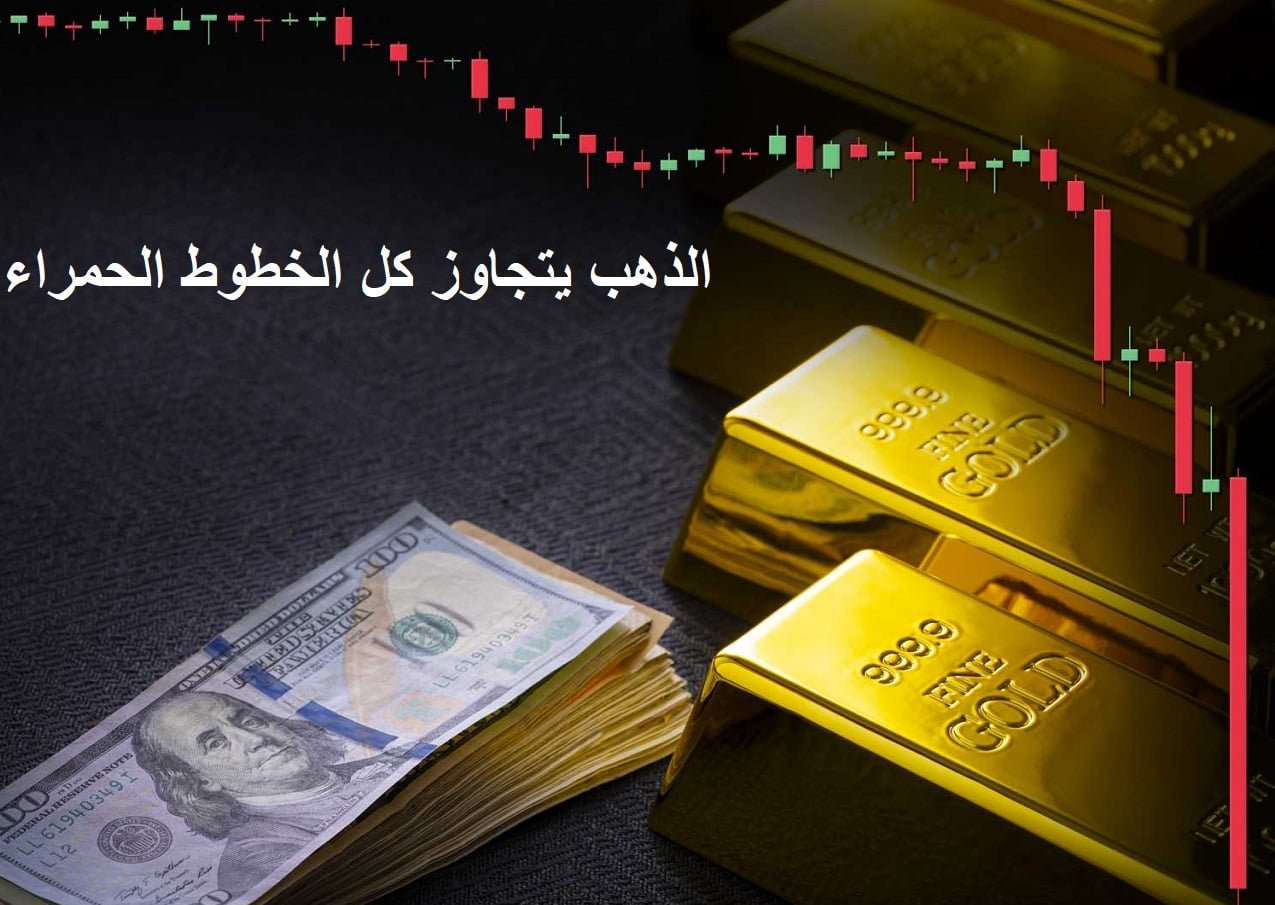 image 1768900061 943D