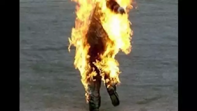 2019 7 29 11 6 48 556