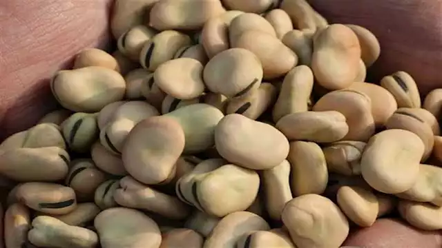 2020 6 15 16 2 51 322