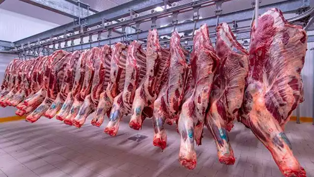 2024 10 20 12 2 16 357 1