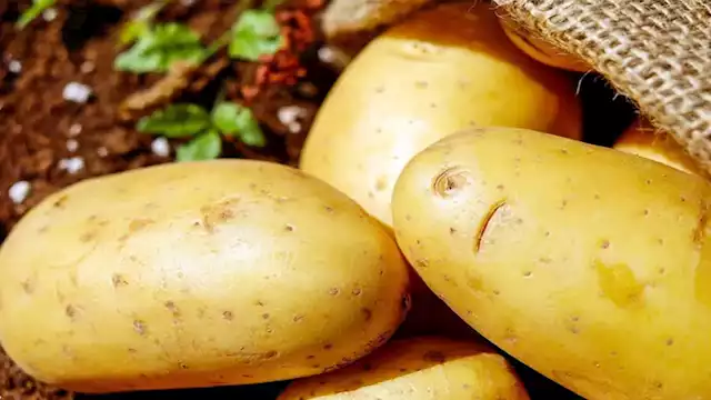 2024 11 16 10 26 18 939