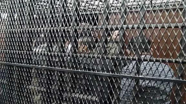 2024 1 17 14 44 19 687