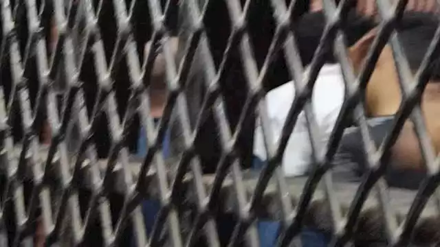 2024 1 17 14 44 25 56