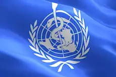 2025 1 7 21 18 45 263