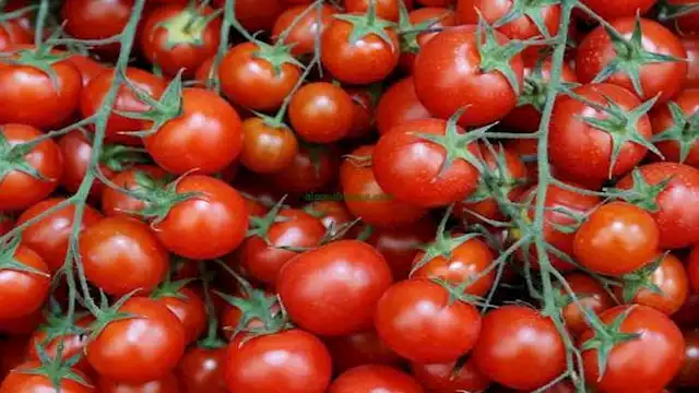 2025 2 21 16 17 53 137 1