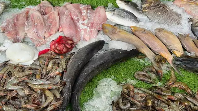 2025 2 8 11 20 2 275 4