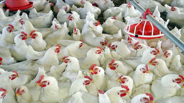 2026 1 15 22 56 18 325