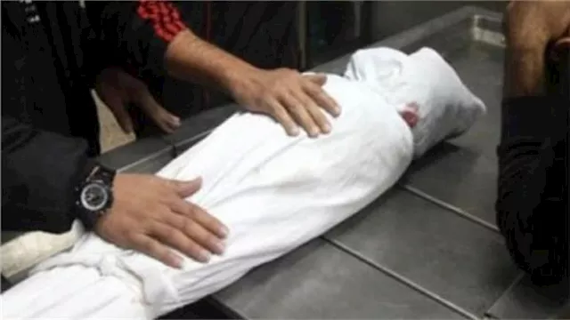 2026 1 29 19 45 27 684 2