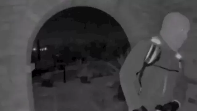 2026 2 11 0 16 22 192