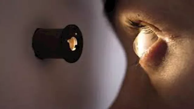 2026 2 12 23 3 4 767