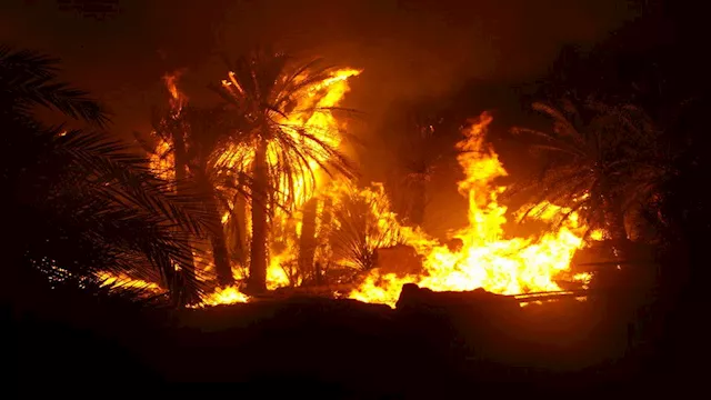 2026 2 15 21 16 22 390