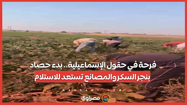 2026 2 17 11 19 47 382