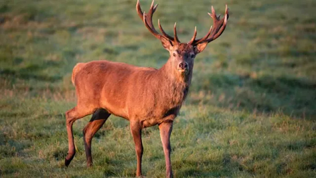 2026 2 18 15 15 58 107