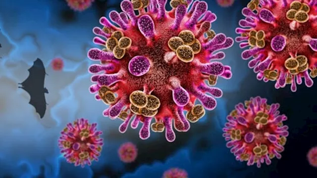 2026 2 1 0 23 45 369