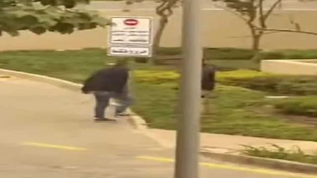 2026 2 20 1 21 19 575