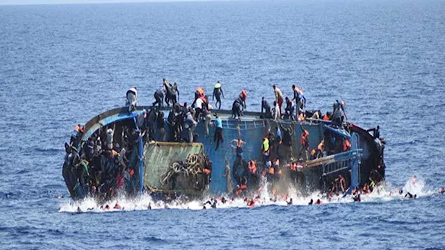 2026 2 21 14 22 16 339