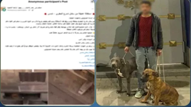 2026 2 21 23 53 19 617