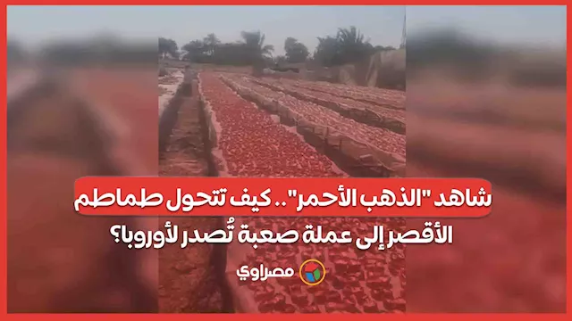 2026 2 3 14 12 2 861