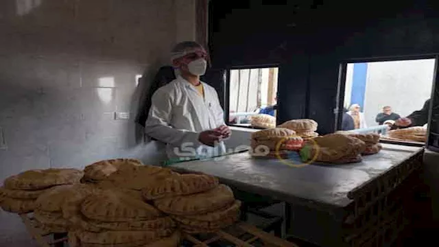 2026 2 8 16 13 7 204