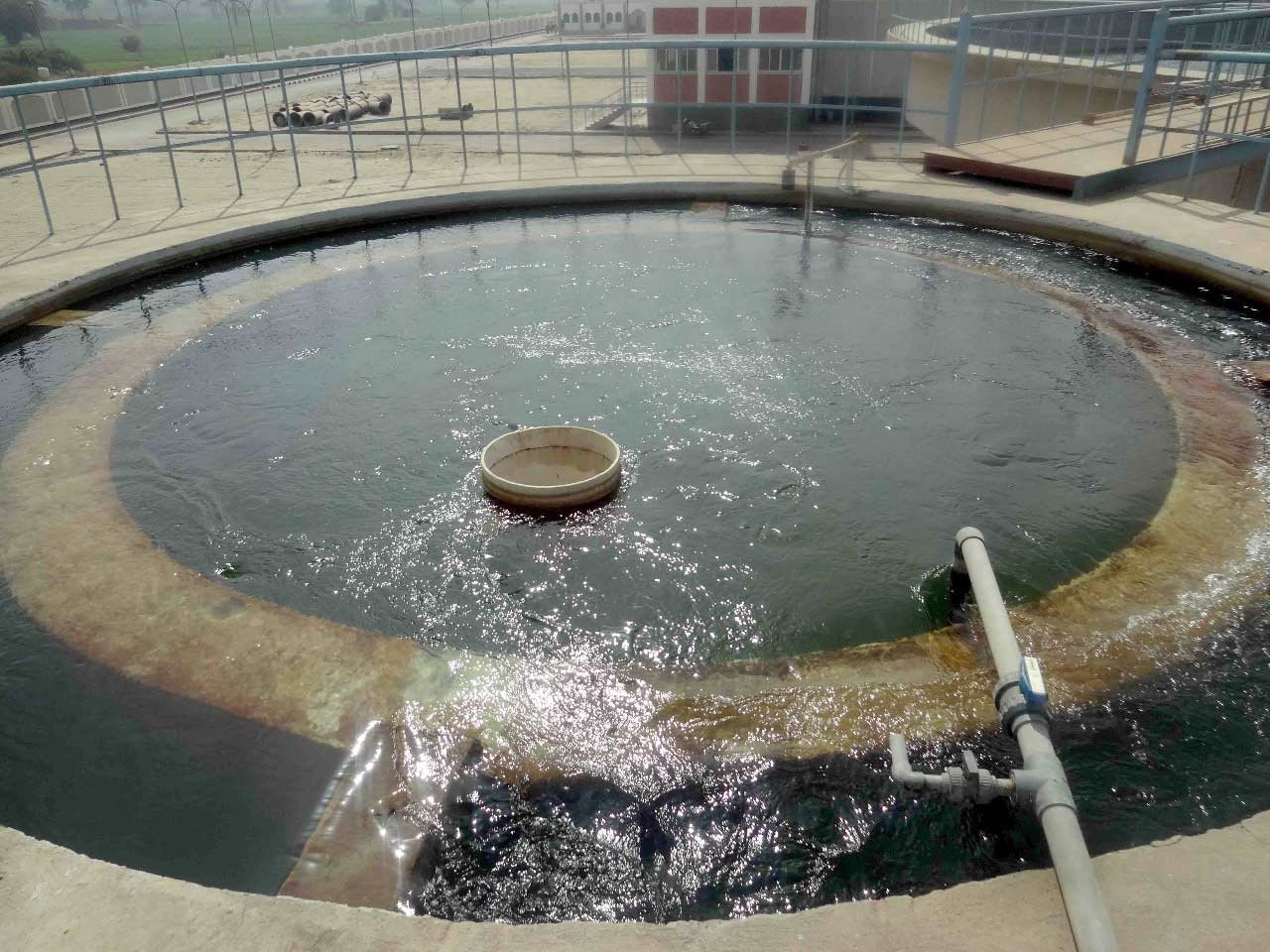 image 1770336082 XY0T